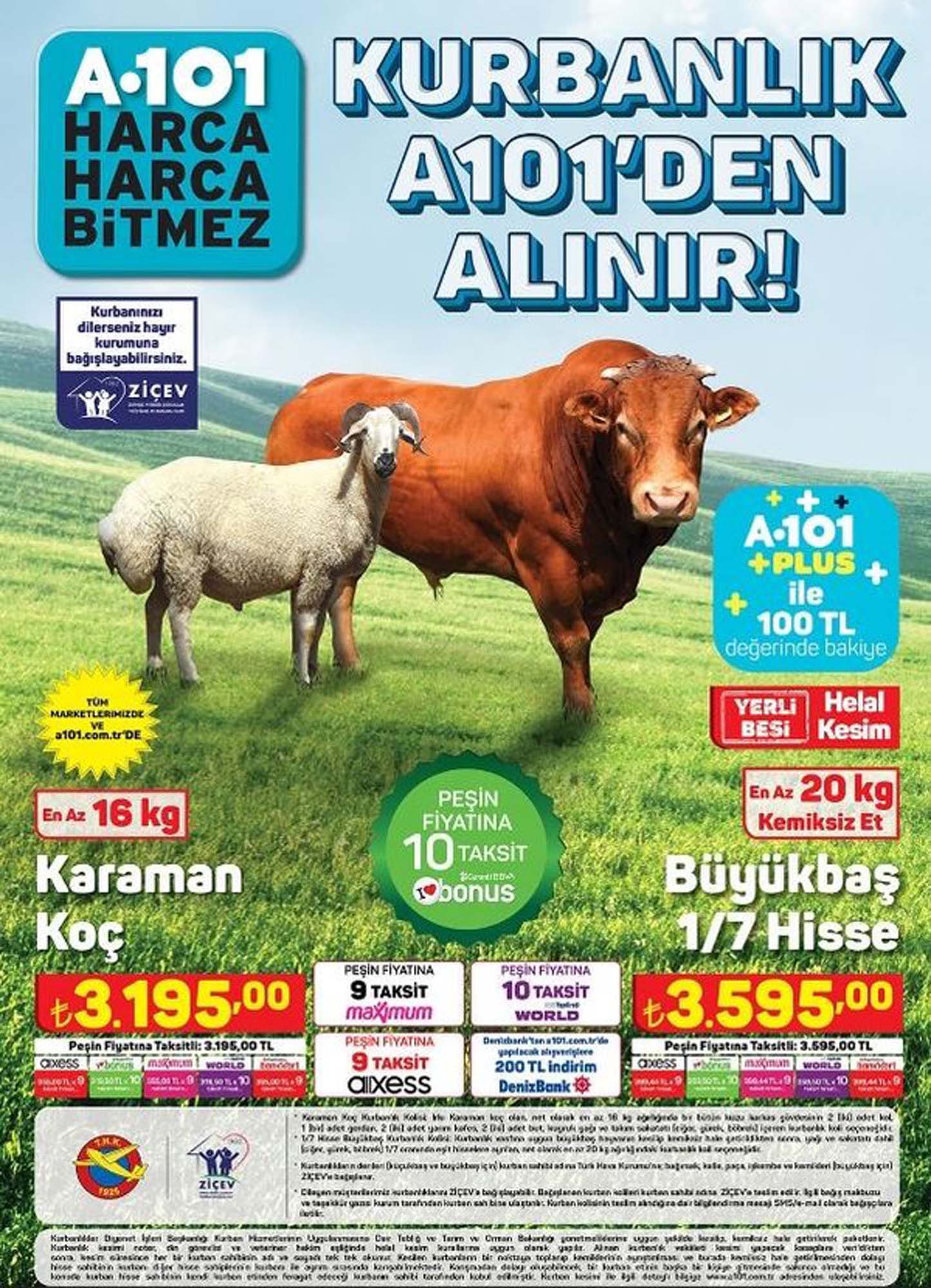 ŞOK kurbanlık fiyatları 2022 | ŞOK büyükbaş, küçükbaş kurbanlık hisse fiyatı ne kadar, kaç TL?