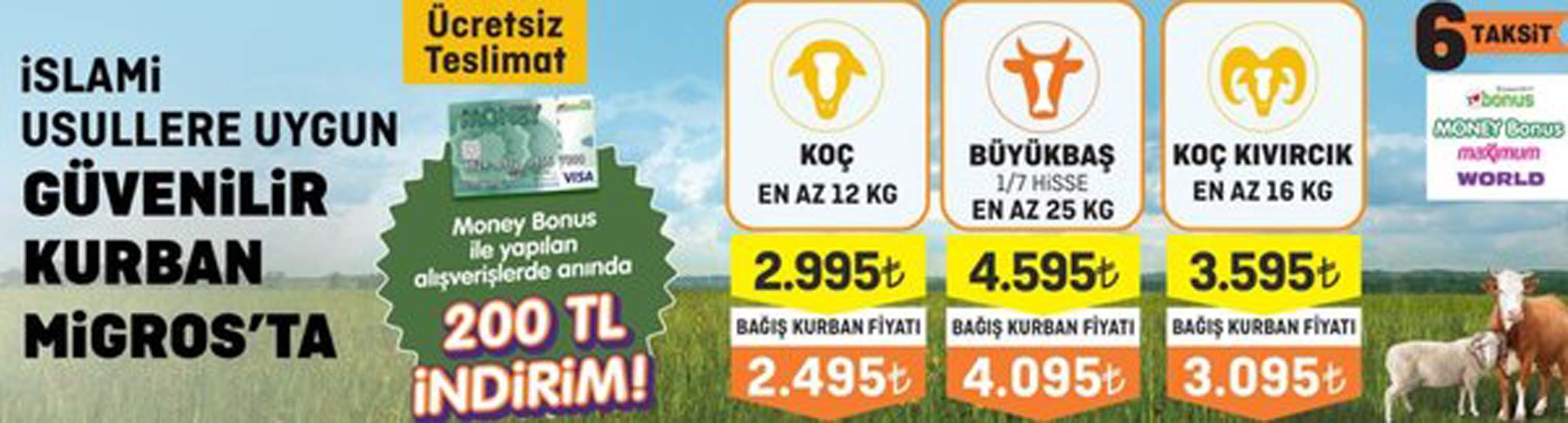 ŞOK kurbanlık fiyatları 2022 | ŞOK büyükbaş, küçükbaş kurbanlık hisse fiyatı ne kadar, kaç TL?