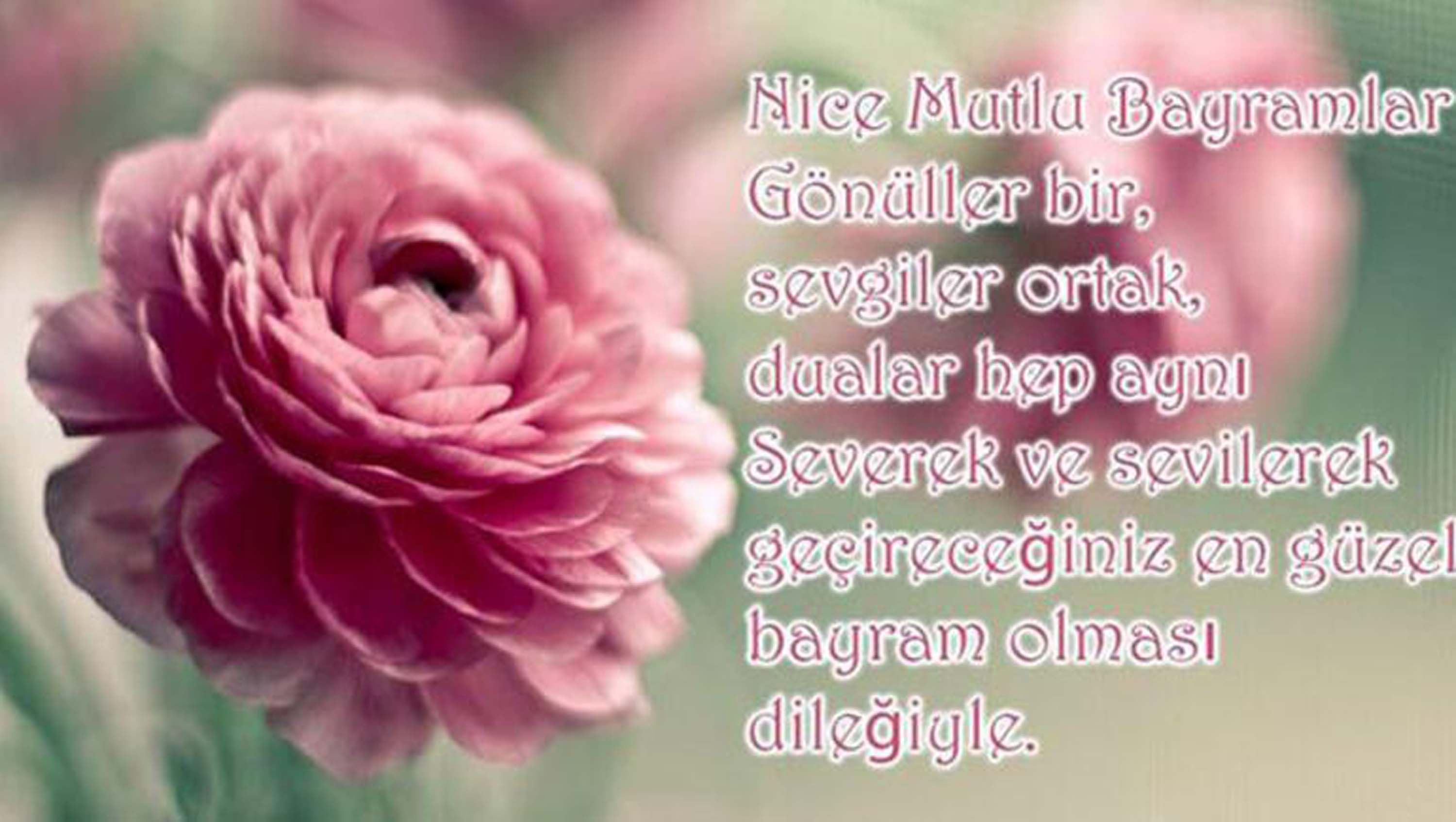 Kaynanaya bayram mesajı 2022 - Kayınvalideye atılacak bayram mesajı 2022