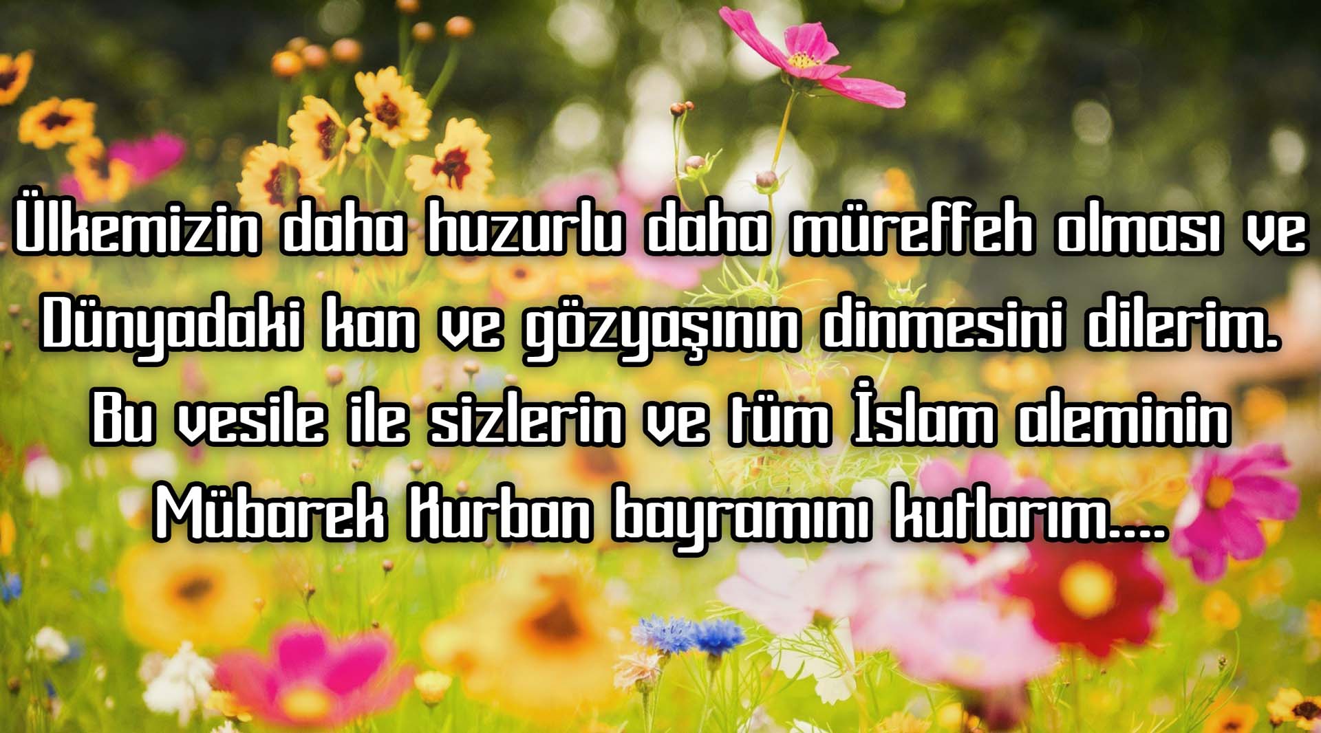 Kurban Bayramı mesajları 2022 | Kısa, uzun, resimli, anlamlı bayram mesajları 2022