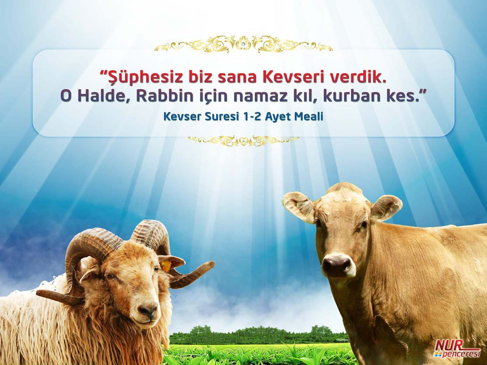 Kısa, öz, anlamı bayram mesajları | Kurban Bayramı resimli kutlama, tebrik mesajları 2022