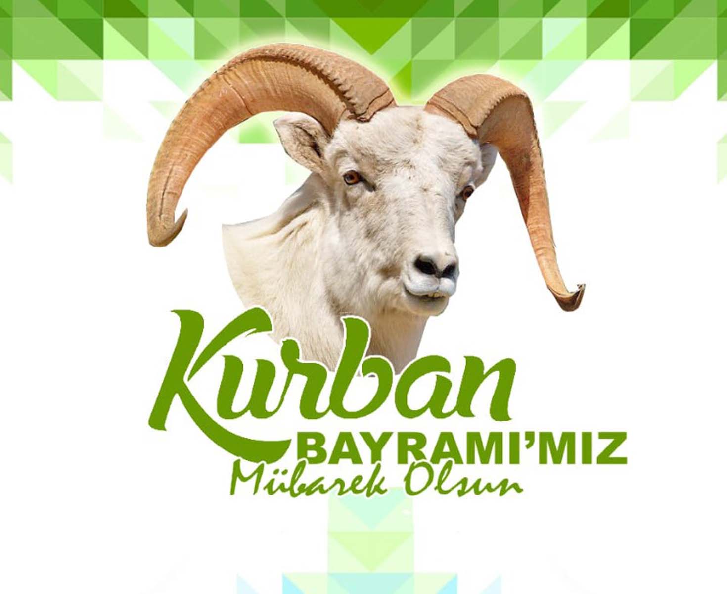 Kısa, öz, anlamı bayram mesajları | Kurban Bayramı resimli kutlama, tebrik mesajları 2022