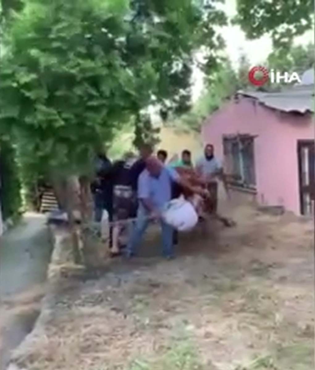 İstanbul Arnavutköy'de bilindik görüntü! Kurbanlık boğa 7 kişiyi birden savurdu! 