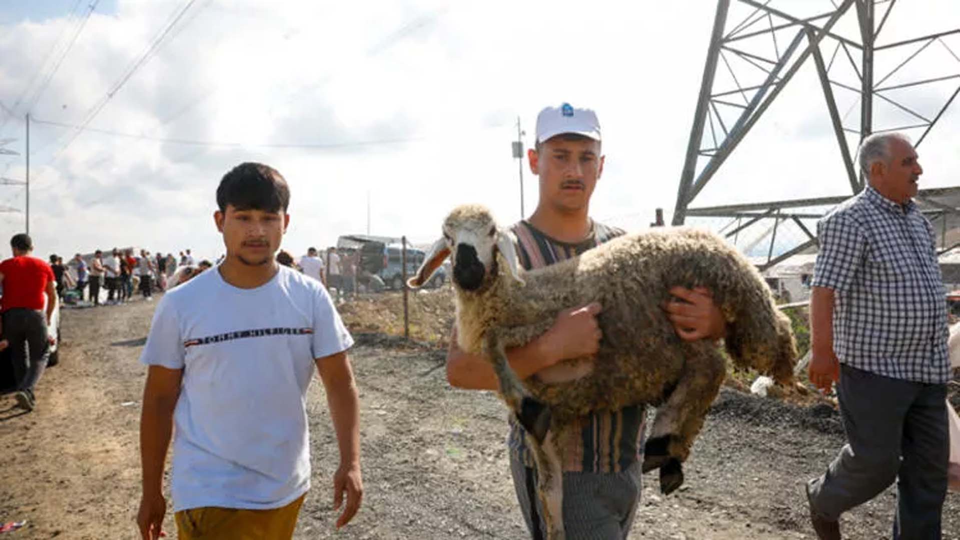 İstanbul Sultangazi'de kaçak kesim yapan vatandaşlara zabıta müdahalesi! Toplam 130 kişiye ceza kesildi!