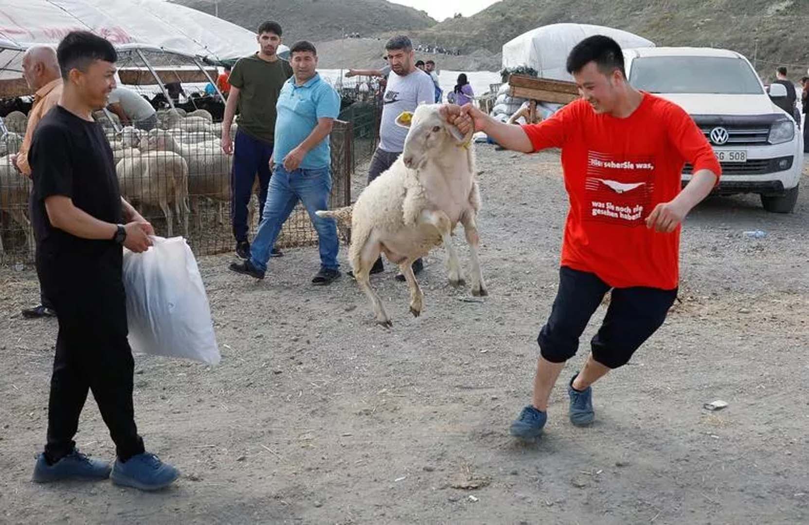 İstanbul Sultangazi'de kaçak kesim yapan vatandaşlara zabıta müdahalesi! Toplam 130 kişiye ceza kesildi!