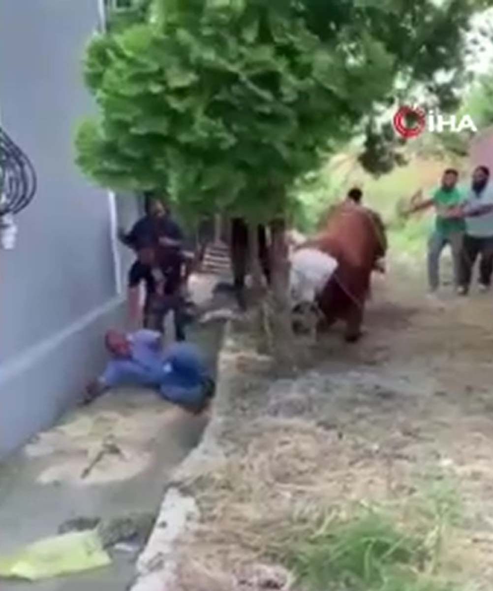 İstanbul Arnavutköy'de bilindik görüntü! Kurbanlık boğa 7 kişiyi birden savurdu! 