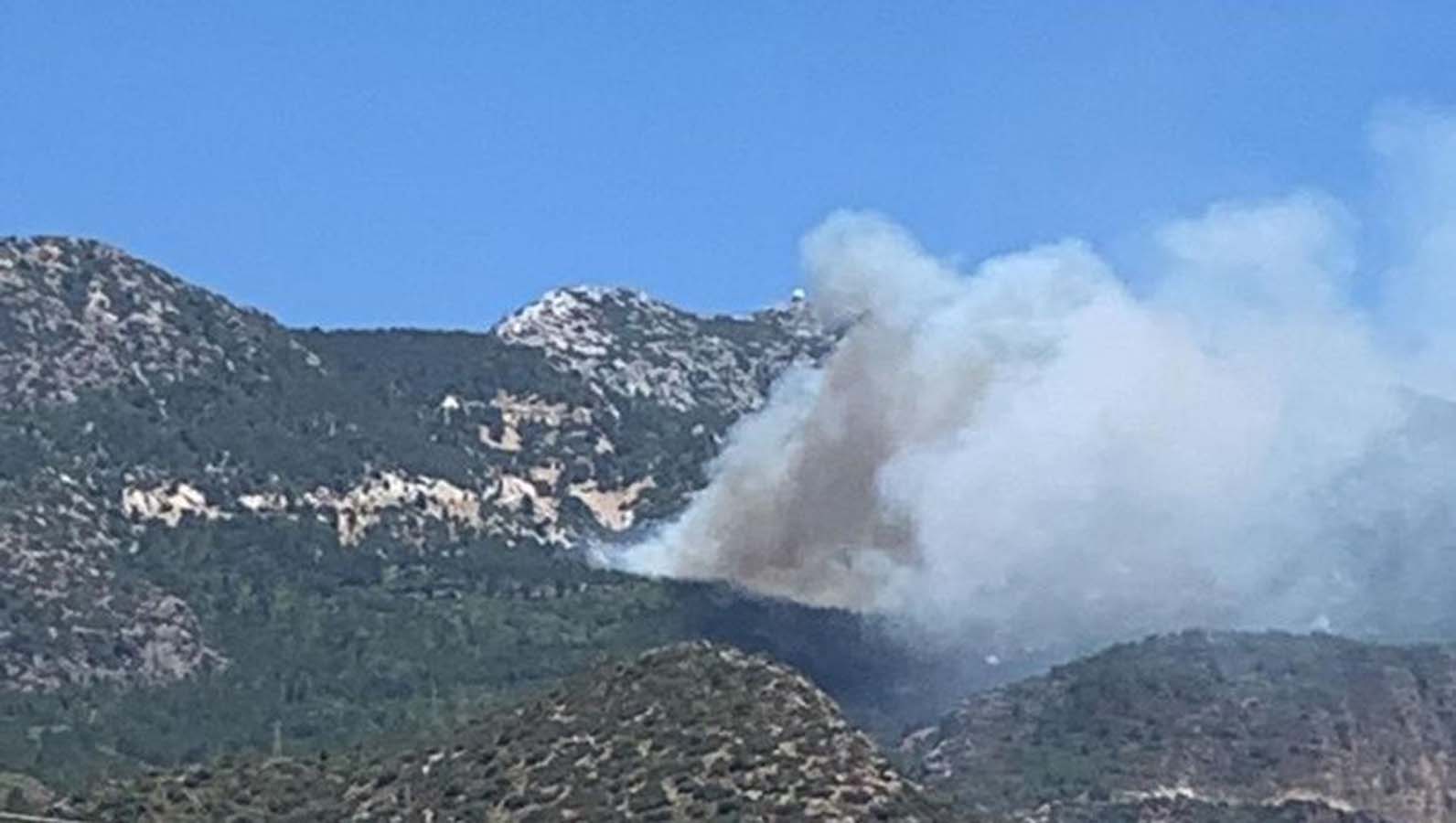 Tarım ve Orman Bakanı Vahit Kirişci'den Muğla'daki yangına ilişkin açıklama: Yangının elektrik trafosundan çıktığı yönünde tespitlerimiz var