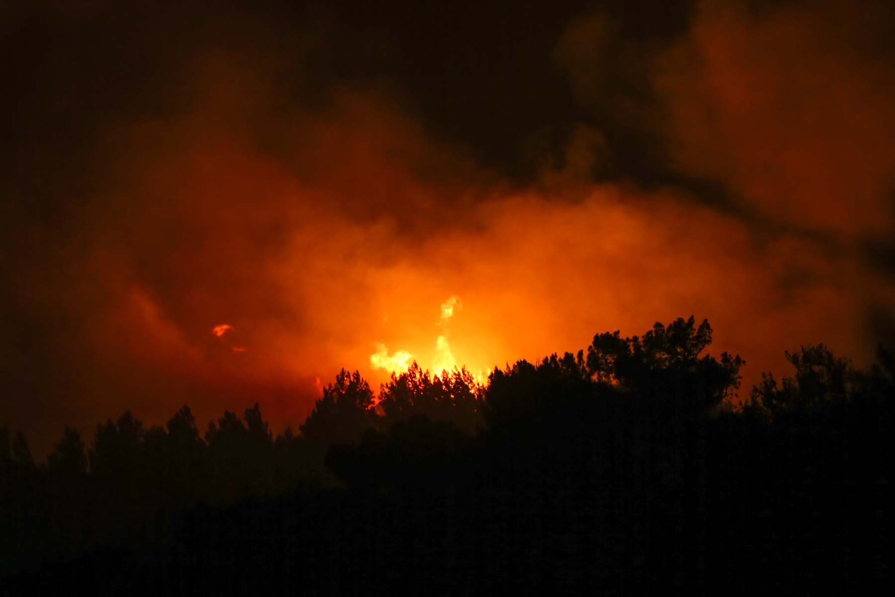 Muğla Datça'daki orman yangınından güzel haber! Bakan Kirişçi açıkladı: Yangın kontrol altına alındı