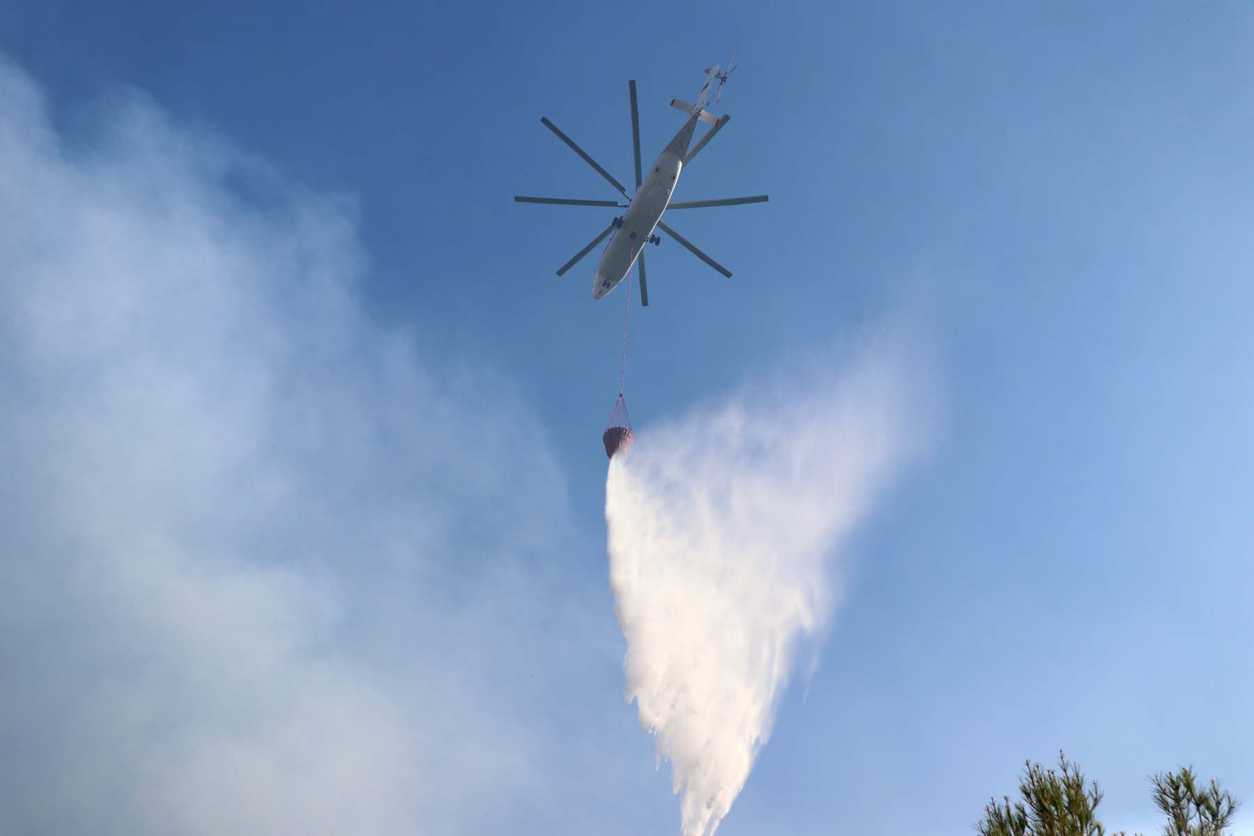 Muğla Datça'daki orman yangınından güzel haber! Bakan Kirişçi açıkladı: Yangın kontrol altına alındı