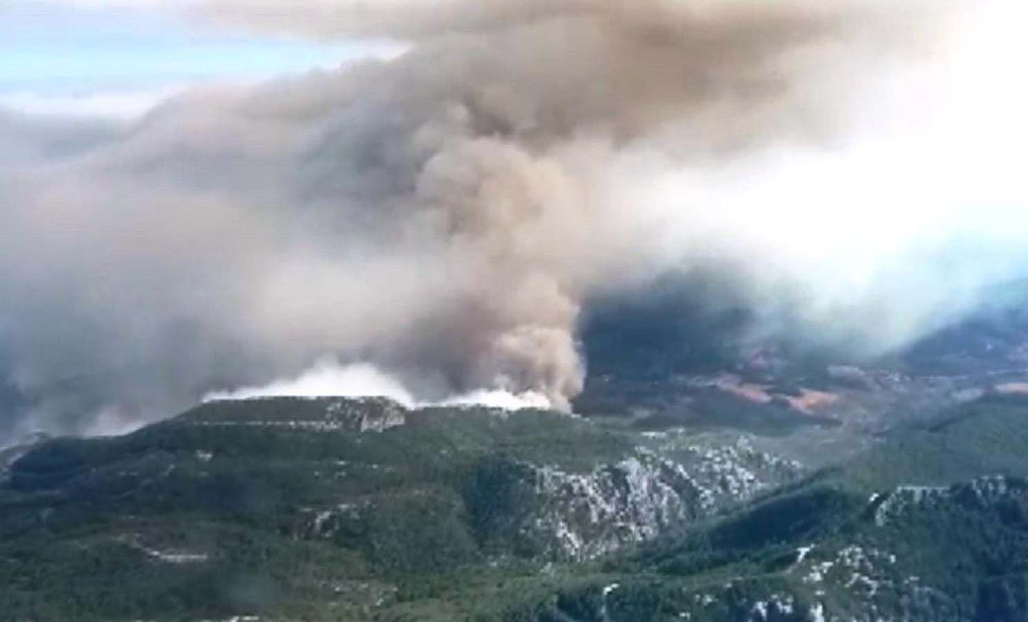 Tarım ve Orman Bakanı Vahit Kirişci'den Muğla'daki yangına ilişkin açıklama: Yangının elektrik trafosundan çıktığı yönünde tespitlerimiz var