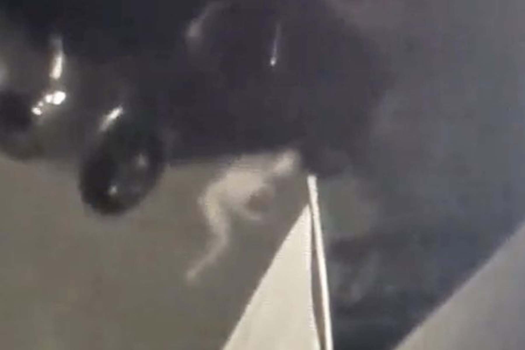 Tüyler ürperten görüntü! Şeffaf gizemli yaratık korku yarattı! Yüzüklerin Efendisi'nden Gollum'a benziyor