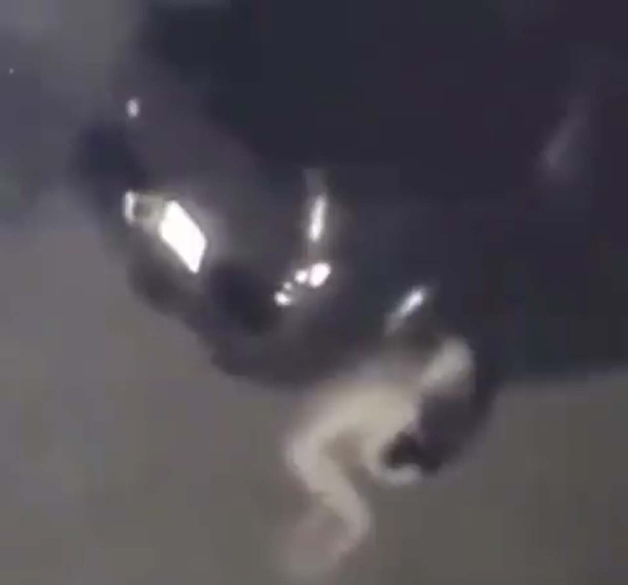 Tüyler ürperten görüntü! Şeffaf gizemli yaratık korku yarattı! Yüzüklerin Efendisi'nden Gollum'a benziyor