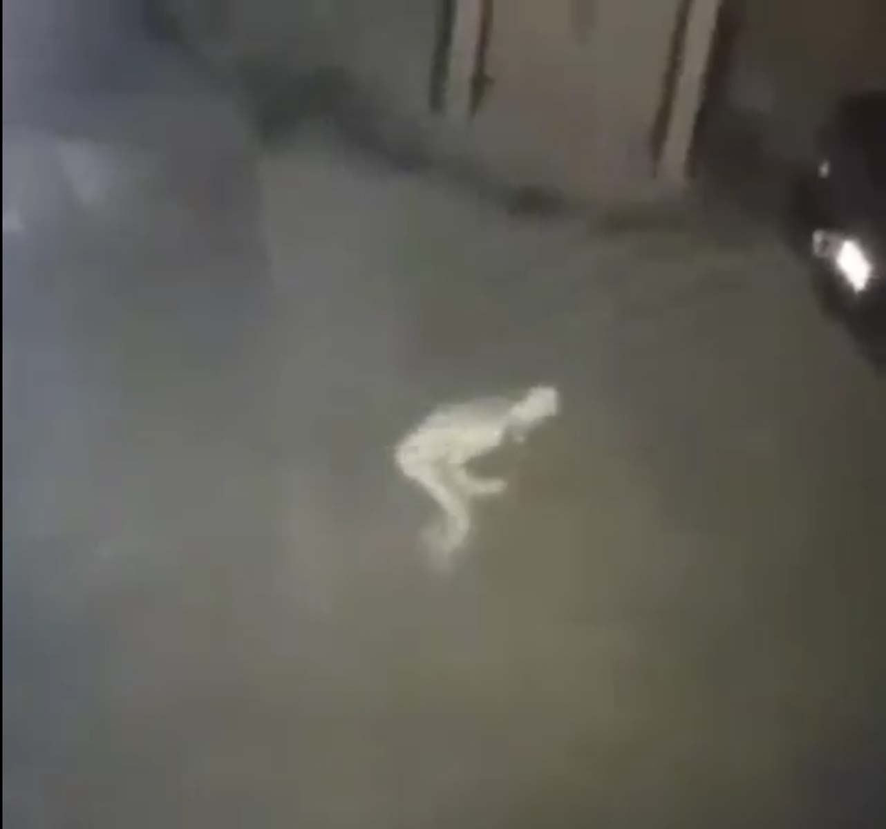 Tüyler ürperten görüntü! Şeffaf gizemli yaratık korku yarattı! Yüzüklerin Efendisi'nden Gollum'a benziyor