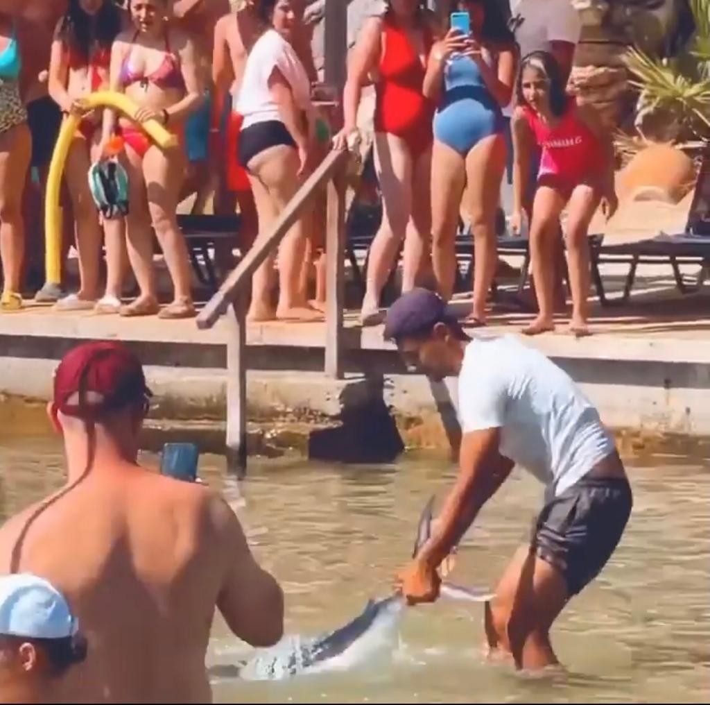 Zarganayı önce kuyruğundan tuttu, sonra tokatladı! Kıyıya gelen zargana, bir vatandaş tarafından darp edilerek öldürüldü!