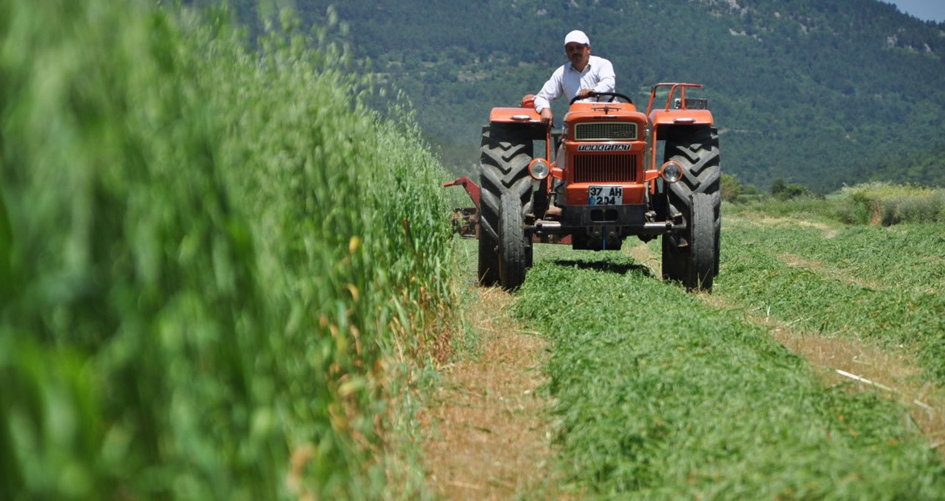 TÜİK duyurdu! Tarımsal girdi fiyat endeksi arttı!