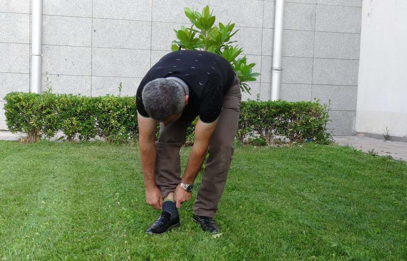 Yaz aylarının kabusu olup, ölümle sonuçlanabiliyor! Keneden korunmanın en basit yolu: Pantolon giyip, açıkta kalacak alan bırakmamak