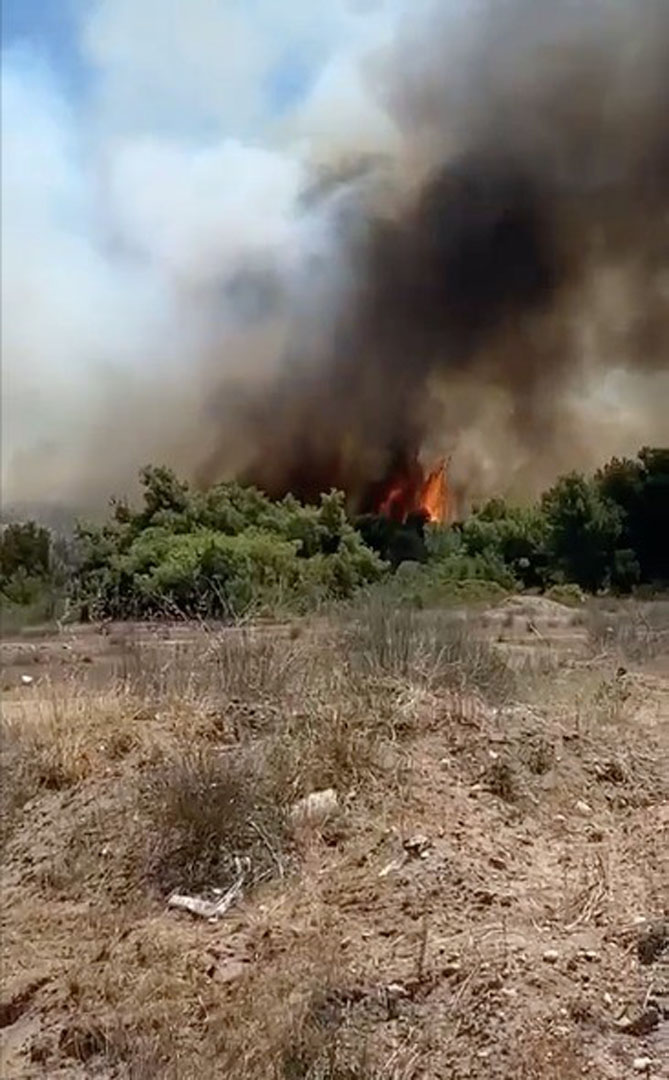 Antalya'da korkutan yangın! Orman cayır cayır yanıyor!