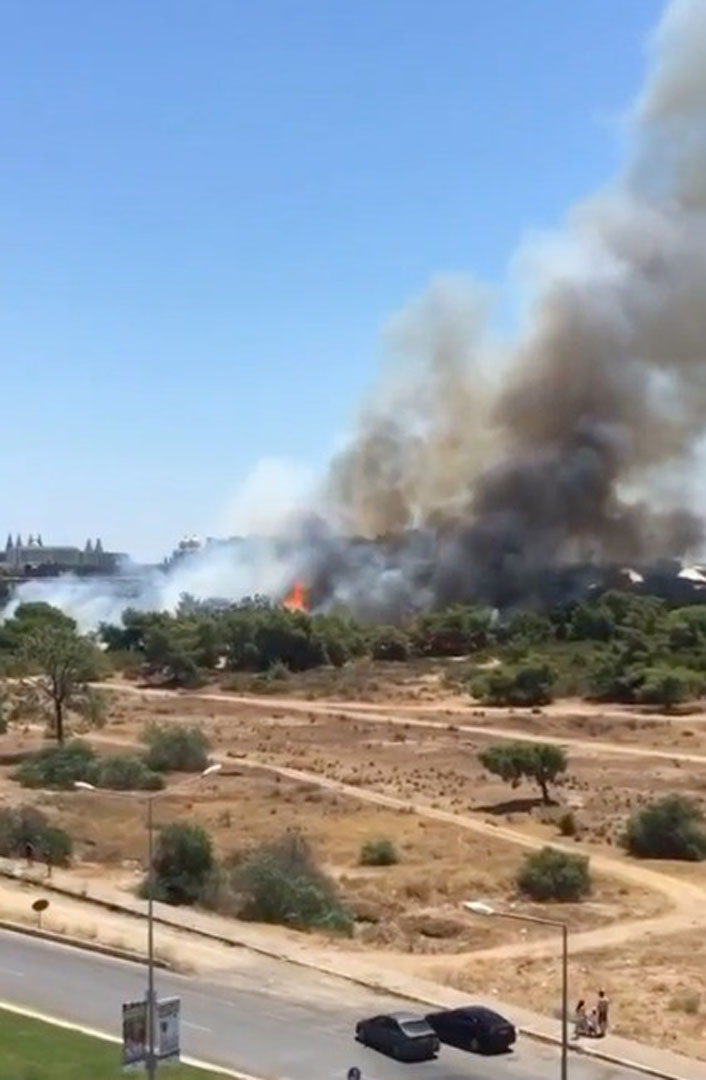 Antalya'da korkutan yangın! Orman cayır cayır yanıyor!