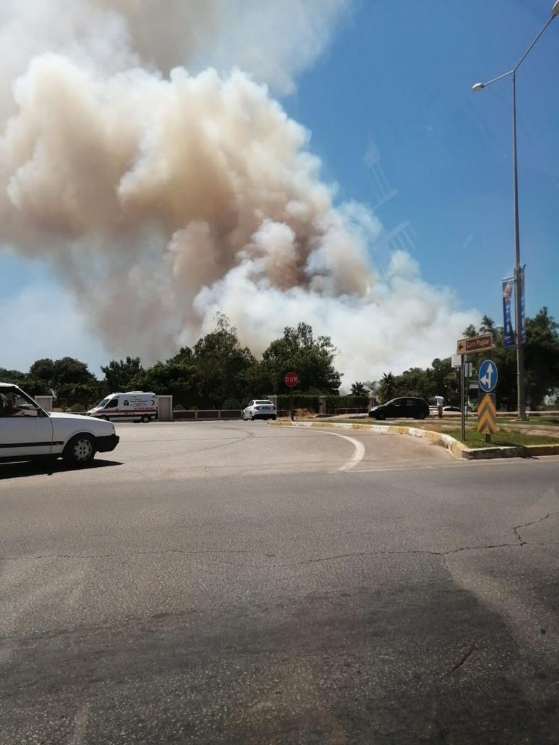 Antalya'da korkutan yangın! Orman cayır cayır yanıyor!