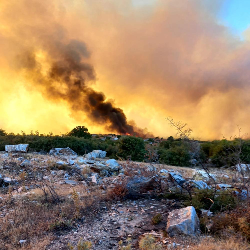 Manisa'daki orman yangını korkutuyor! Çok sayıda ev boşaltıldı! Ekiplerin müdahalesi sürüyor!