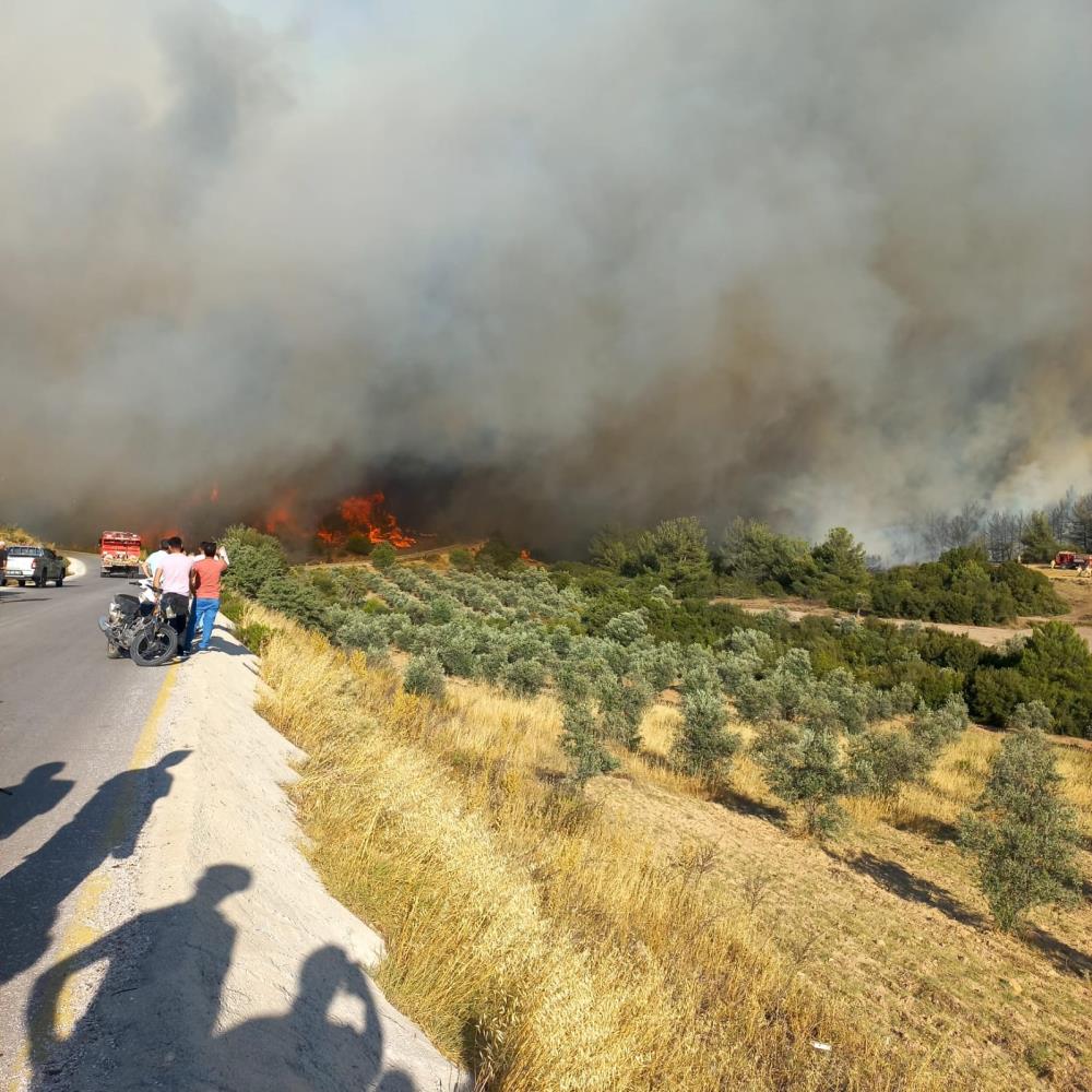 Manisa'daki orman yangını korkutuyor! Çok sayıda ev boşaltıldı! Ekiplerin müdahalesi sürüyor!