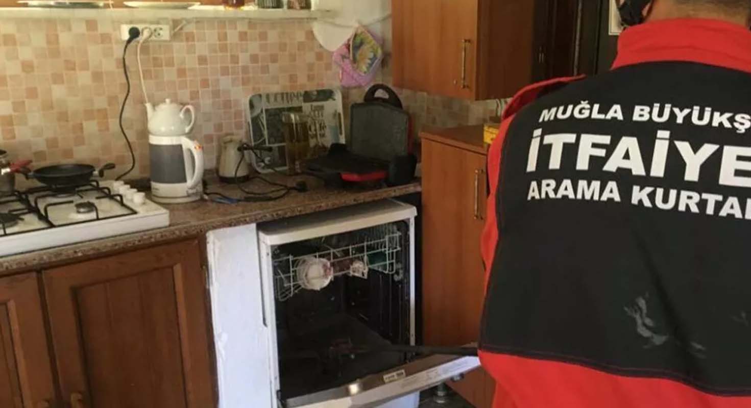 Yılan, evde öyle bir yerden çıktı ki... Görünce hayrete düşeceksiniz!