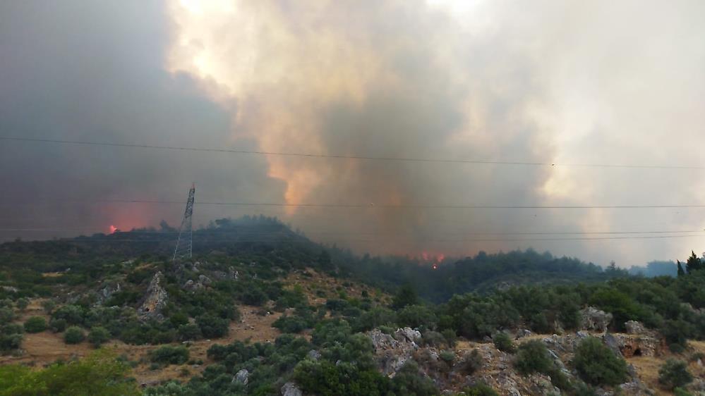 Aydın, Söke'de orman yangını! Giderek büyüyor! Müdahale karadan ve havadan devam ediyor!