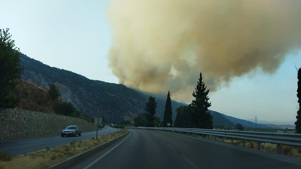 Aydın, Söke'de orman yangını! Giderek büyüyor! Müdahale karadan ve havadan devam ediyor!