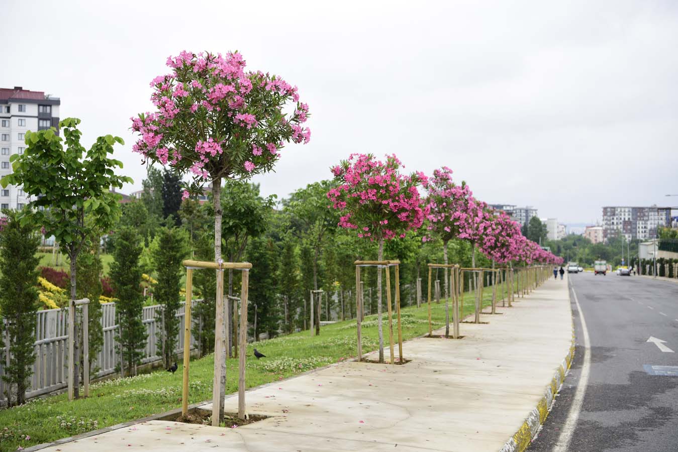 Pendik Belediyesi ekipleri ilçe genelinde peyzaj çalışmalarını sürdürüyor!