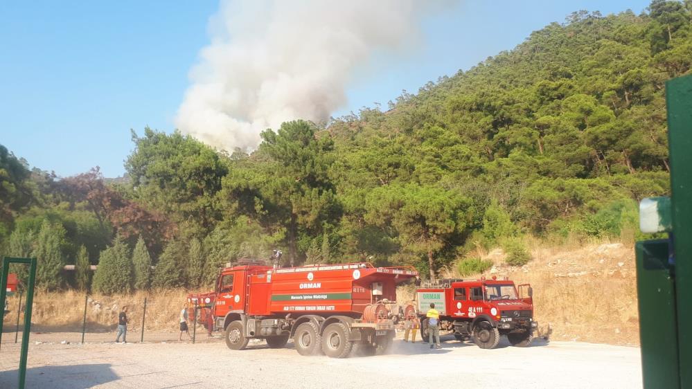 Marmaris'te çıkan orman yangınının büyümesi engellendi! Söndürme çalışmaları son buldu!