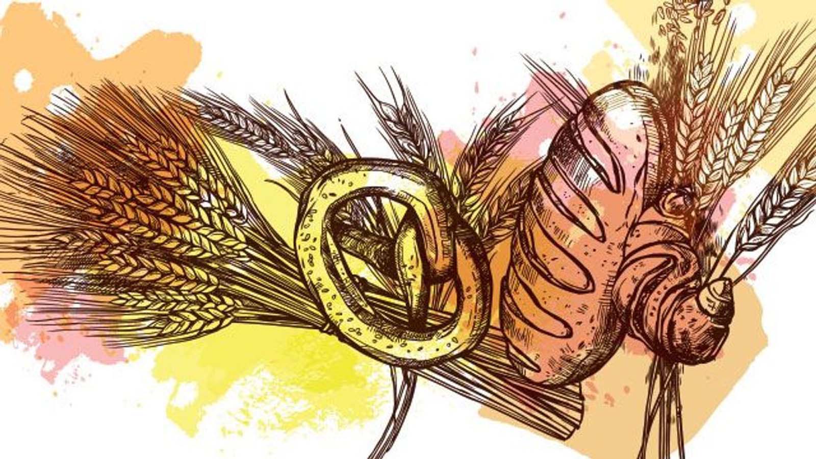 Çölyak hastalığı nedir? Neden olur, belirtileri nelerdir? Çölyak hastalığının diğer organlara etkileri?