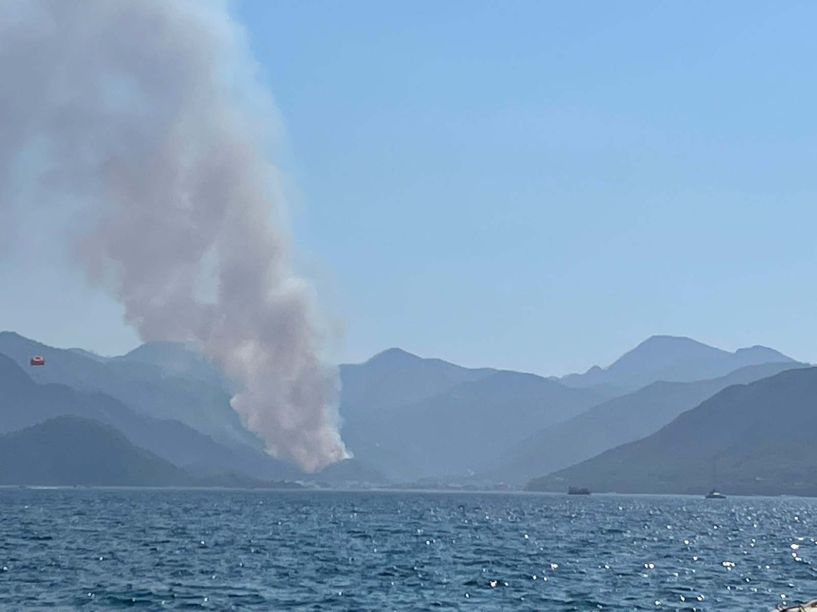 Son dakika | Muğla'nın Marmaris ilçesinde orman yangını! Alevler rüzgarın etkisiyle yayılıyor