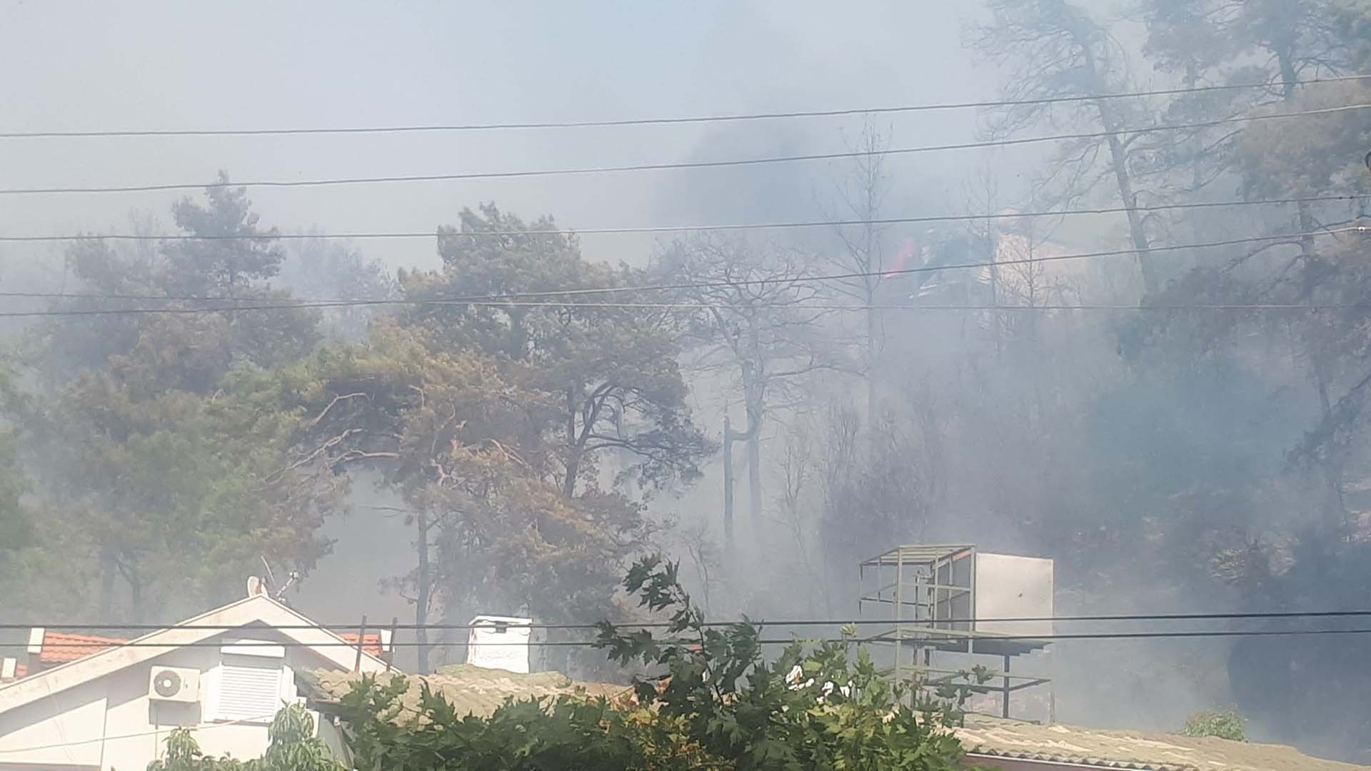 Son dakika | Muğla'nın Marmaris ilçesinde orman yangını! Alevler rüzgarın etkisiyle yayılıyor