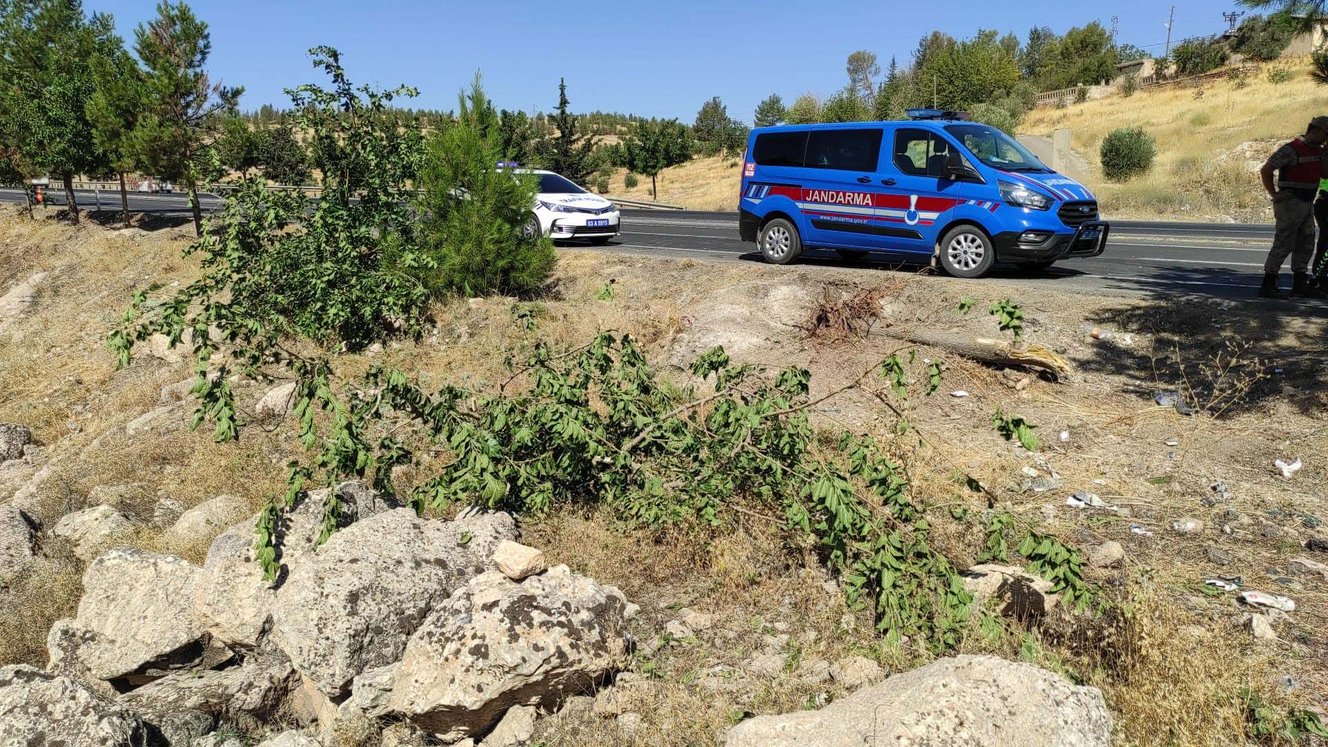 Şanlıurfa'da facianın eşiğinden dönüldü! İşçileri taşıyan servis yoldan çıkıp ağaca çarptı: 15 yaralı