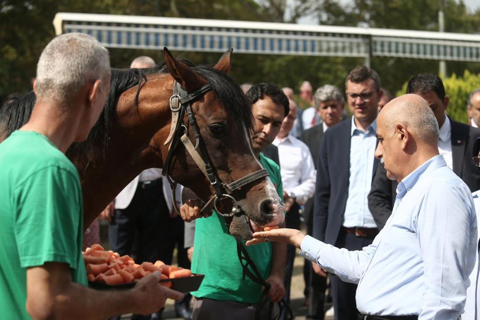Bakan Kirişci'den tahıl krizi açıklaması! Cumhurbaşkanımızın duruşu ile sorun çözüldü