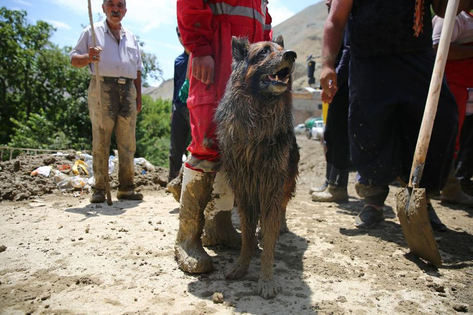 Sel felaketi can almaya devam ediyor! Can kaybı artarak 59'a yükseldi