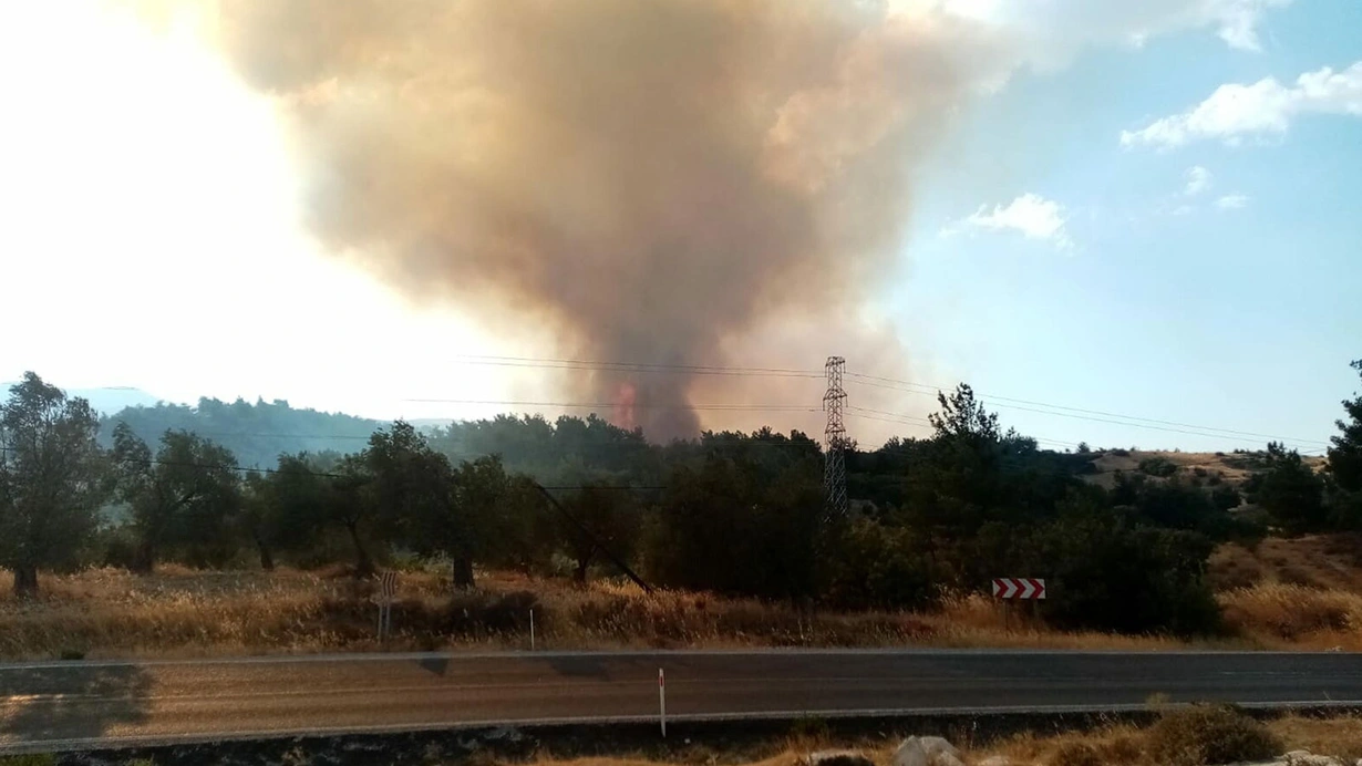 İzmir'de tarım alanı cayır cayır yanıyor! Ekipler teyakkuzda!