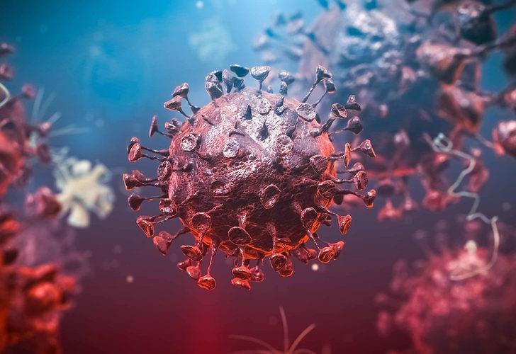 Dünya Sağlık Örgütü harekete geçti! Gizemli hastalık baş gösterdi! 89 kişi birden öldü!