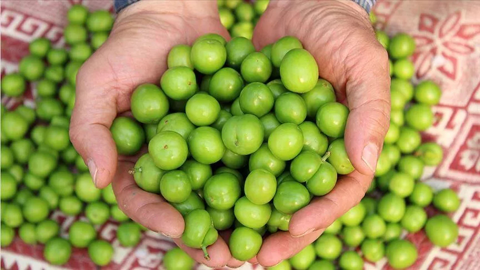 Pazar tezgahlarının zam şampiyonu belli oldu! Yaz aylarının vazgeçilmesi erik fiyatları dibi gördü!