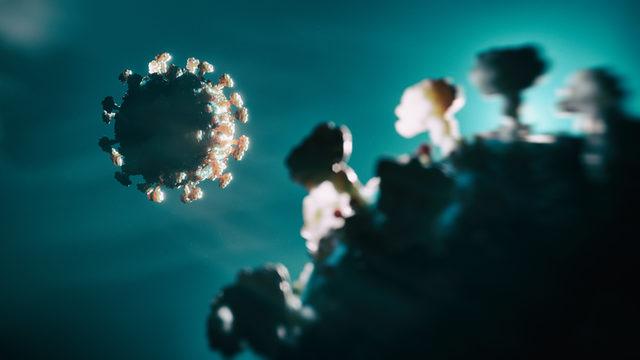 Maymun çiçeği virüsü katlanarak artıyor! ABD'de alarm veriyor! İki eyalette acil durum ilan edildi!