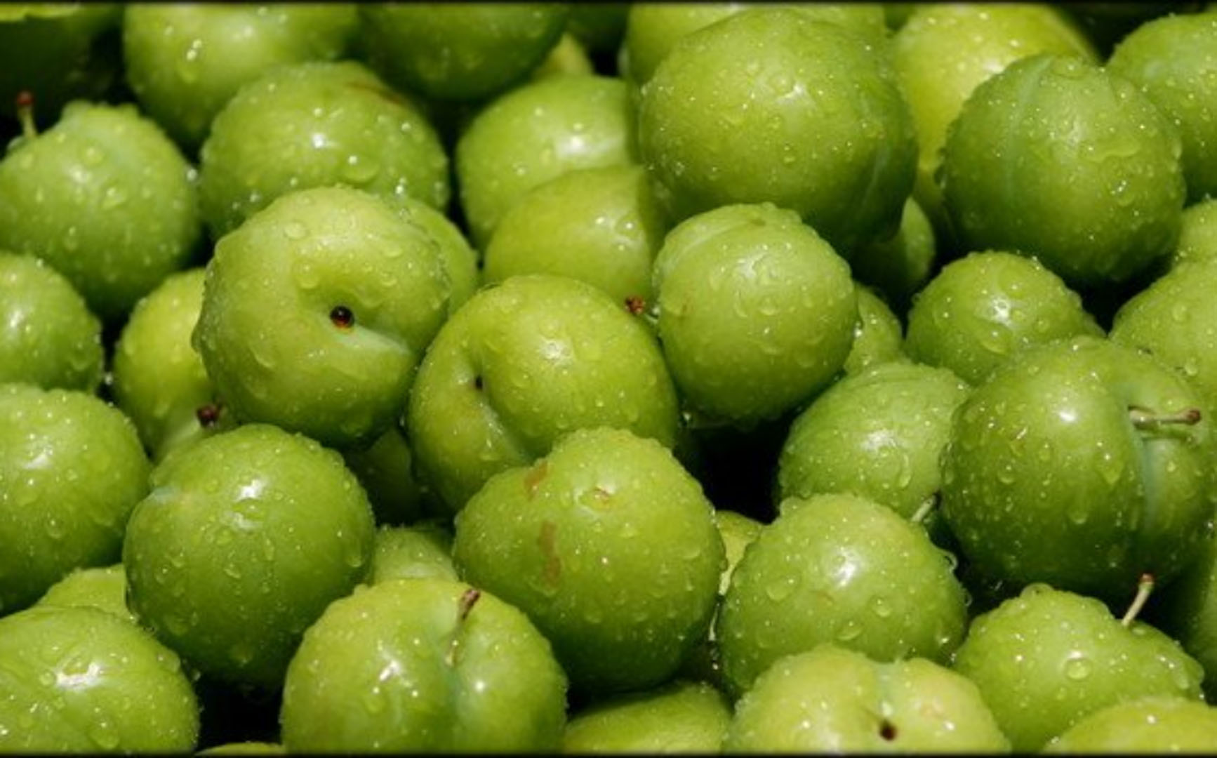 Pazar tezgahlarının zam şampiyonu belli oldu! Yaz aylarının vazgeçilmesi erik fiyatları dibi gördü!