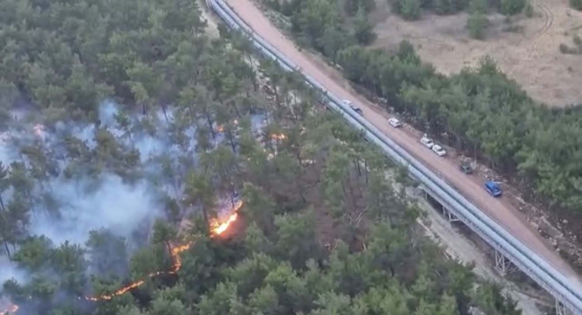 Manisa Soma'da orman yangını! Ekiplerin müdahalesi sürüyor!