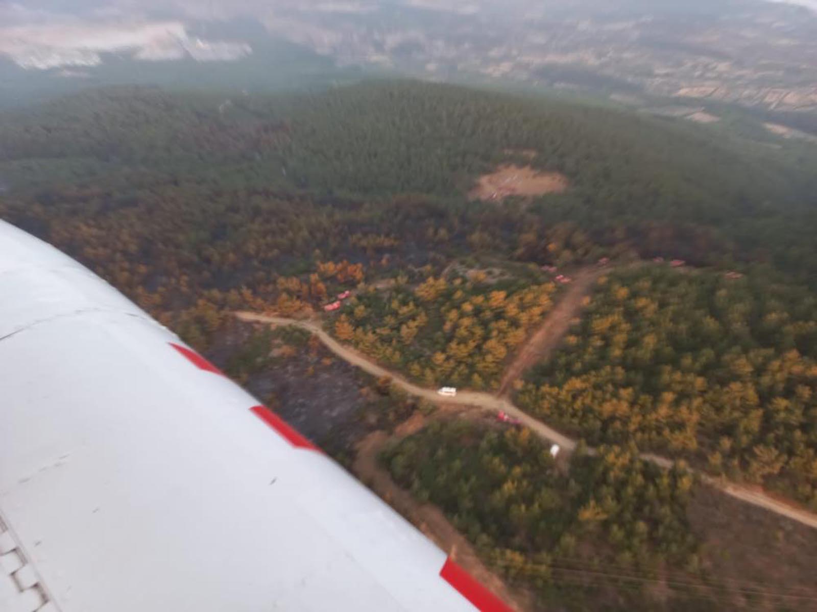 Manisa'dan üzen haber! Soma'da çıkan orman yangını devam ediyor!