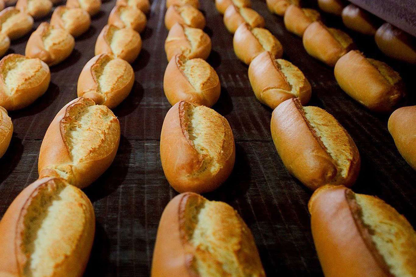 İBB'den halk ekmeğe zam kararı! 3 liraya yükseltildi! Anlayışınıza sığınıyoruz