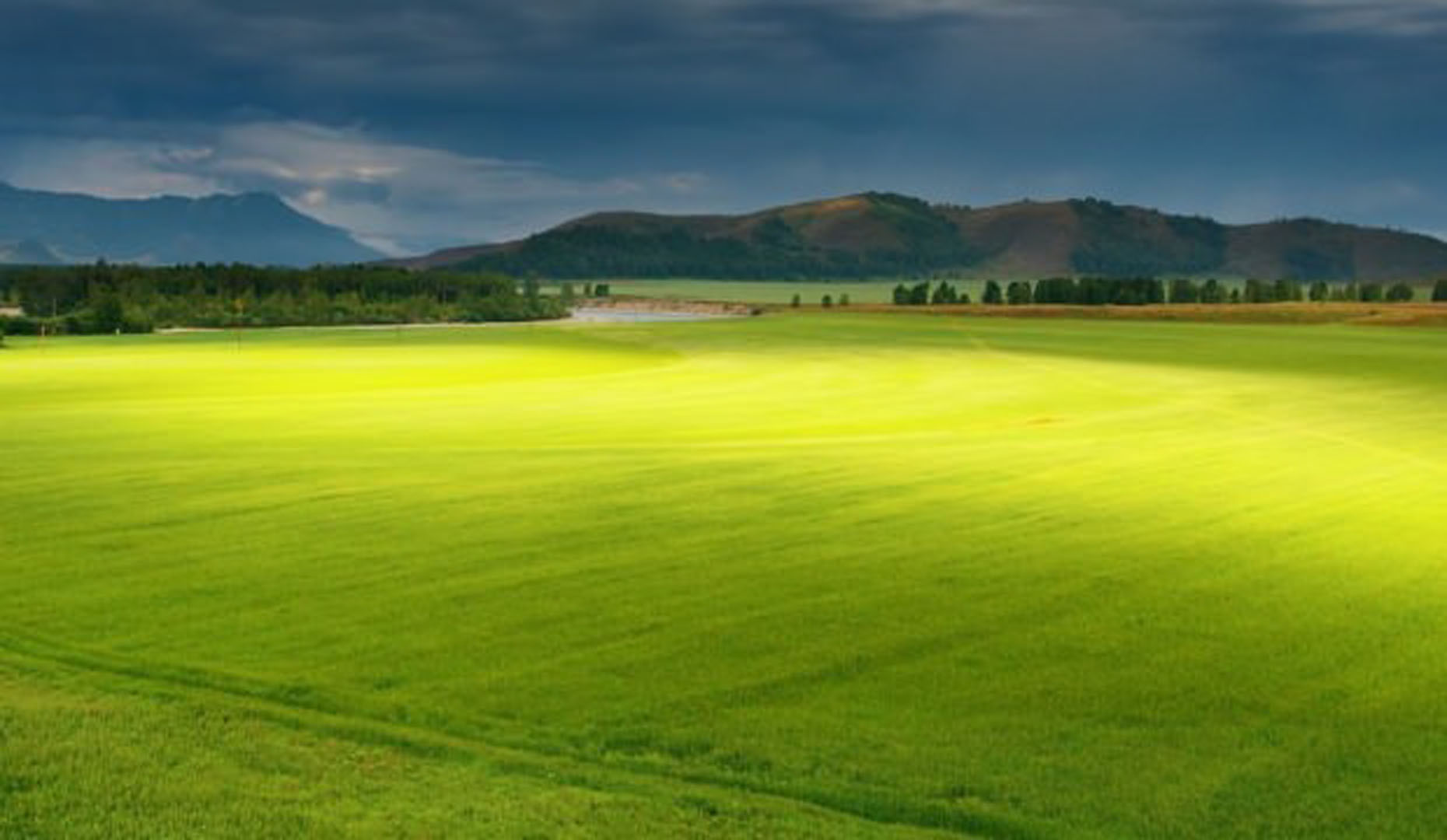 Konut fiyatları talebi düşürdü! Arsa fiyatları rekor seviyeye ulaştı!