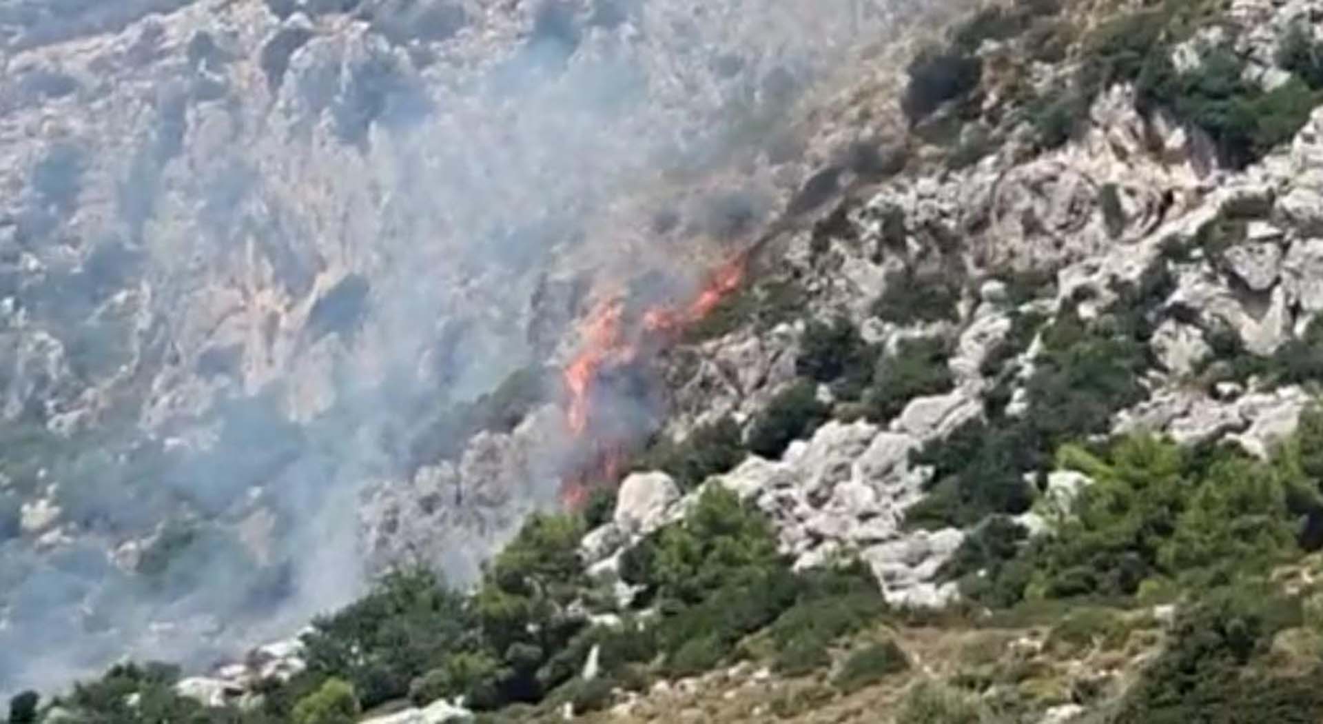 Muğla Marmaris'te makilik alanda yangın! Yangını çıkaran kişi gözaltına alındı!