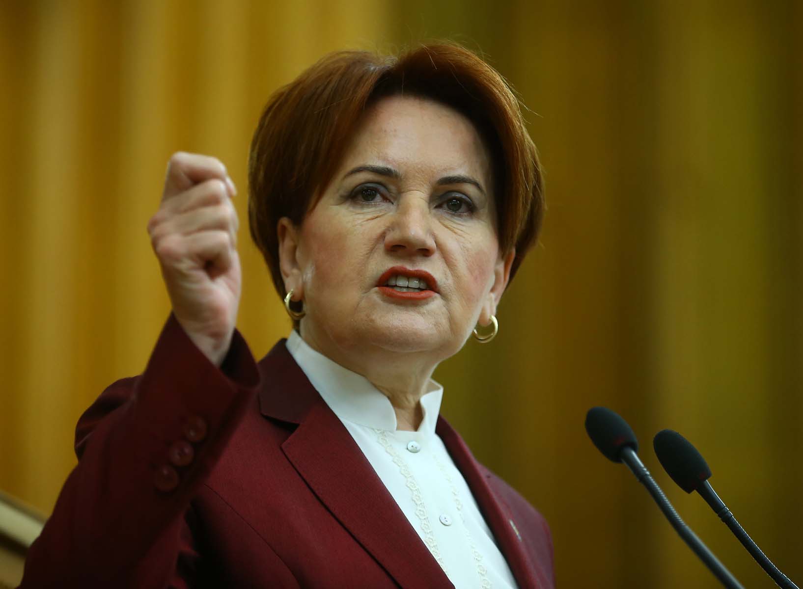 Meral Akşener'e şok! Sokak köpeği ısırdı, sağlık ekipleri müdahale etti 