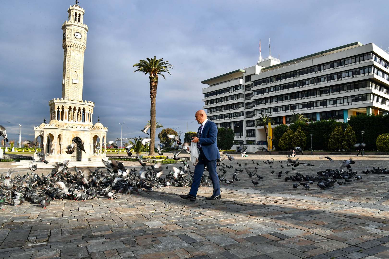 Yarım asırlık fıstık ağacını göz göre göre kestiler! Ak Partili Hamza Dağ'dan İzmir Büyükşehir'e tepki! Hangi projenize engel oldu o yarım asırlık çınar?