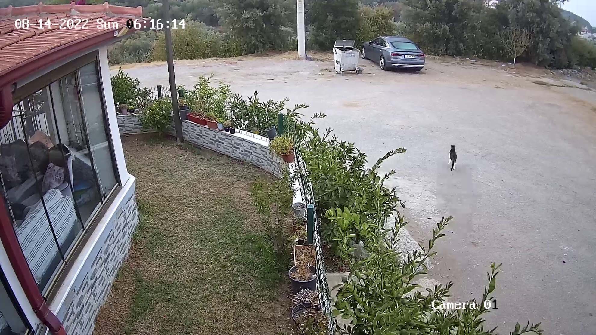 İzmir Menderes'te 5,0 büyüklüğünde deprem! O anlar saniye saniye kaydedildi!