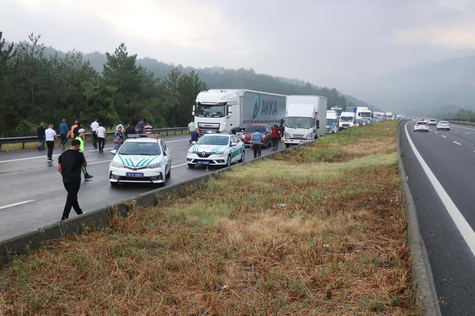 Yolcu otobüsü TEM Otoyolu'nda alevlere teslim oldu! Sürücü yolcuların hayatını kurtardı!